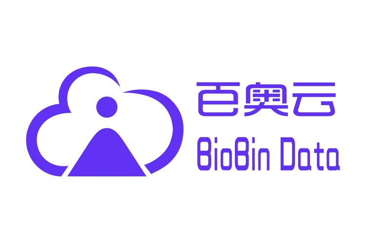 王冰冰公司經營范圍解讀 數據、軟件與互聯網技術布局